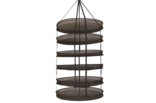 Dry Fast Sahara Plus 6 Levels