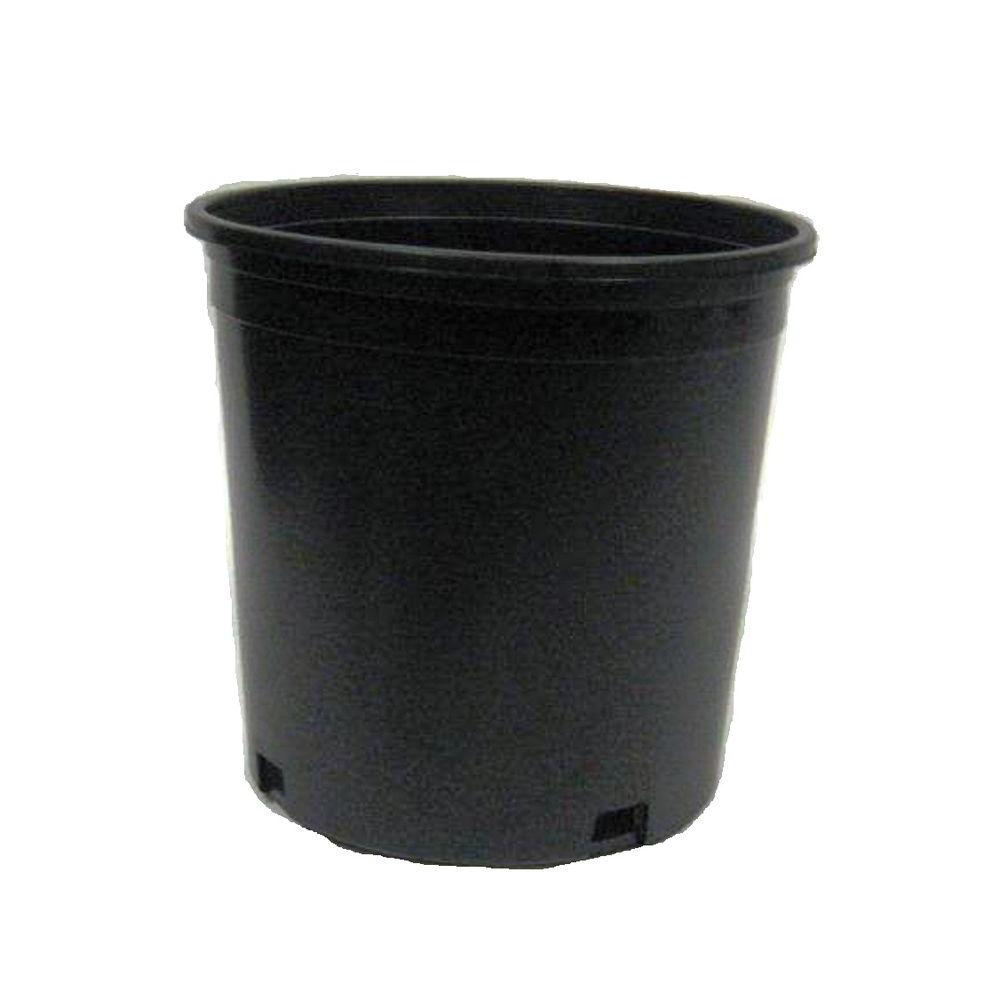 Pot Whiteridge BM 10Gal