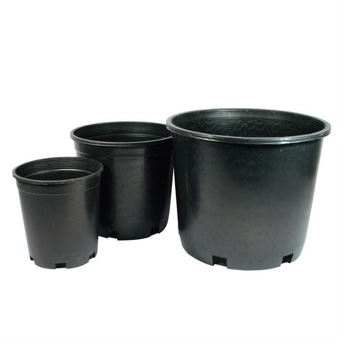 Nursery Pot Black 2 gal