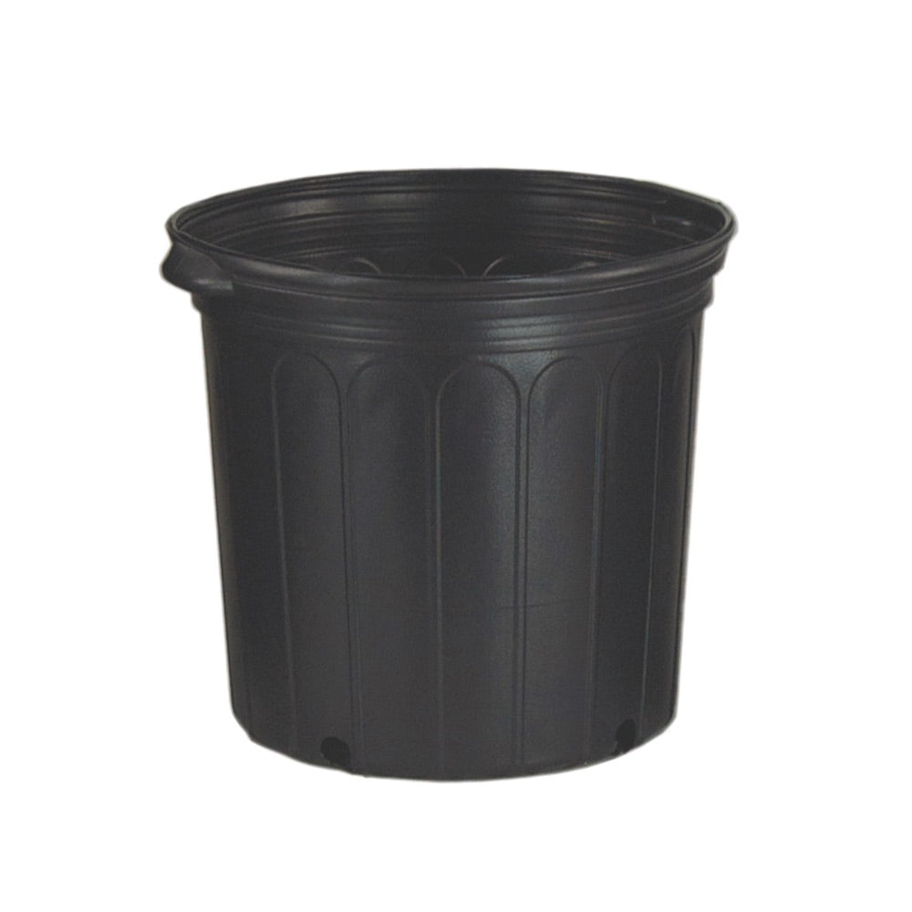 Pot 2000 (11''H x 12''D) 5Gal