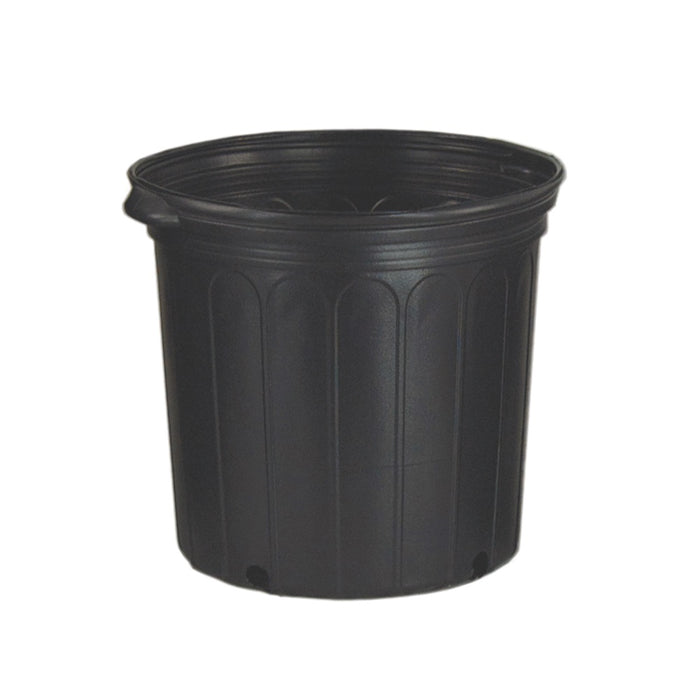 Pot 2000 (11''H x 12''D) 5Gal
