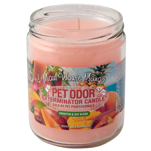 Smoke Odor 13oz Candle - Maui Wowie Mango