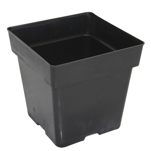 Square Pot 3.5 Inches
