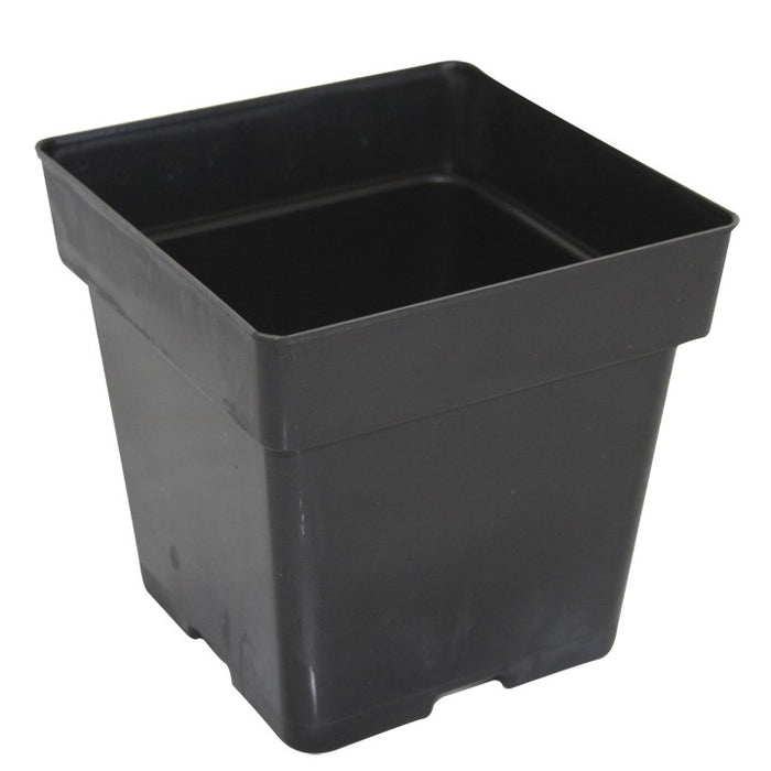 Square Pot 3.5 Inches