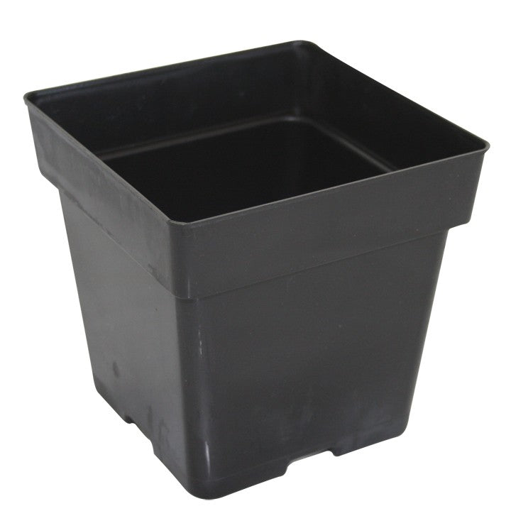 Square Pot 3.5 Inches