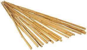 Natural Bamboo Stakes