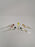 Dabber by Maritimer Glassworks