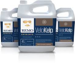 Remo VeloKelp 1L